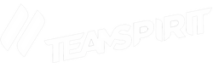 TeamSpirit